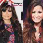 Demi Lovato Figure Size
