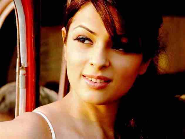 Anjana Sukhani Figure